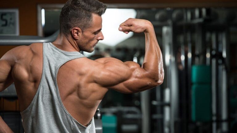 Wie wirkt das Wachstumshormon? Dein Guide für Bodybuilding, Verjüngung & mehr Wachstumshormon