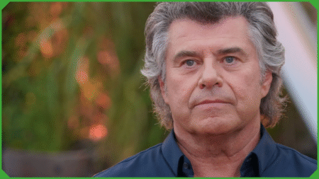 Andy Borg Todesursache Wikipedia – Fakten & Hintergründe andy borg todesursache wikipedia