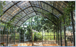 Smarte Gewächshäuser: Digitale Technik für ganzjährigen Gartenerfolg Smarte Gewächshäuser