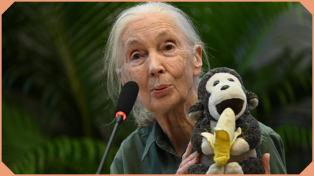 jane goodall gestorben